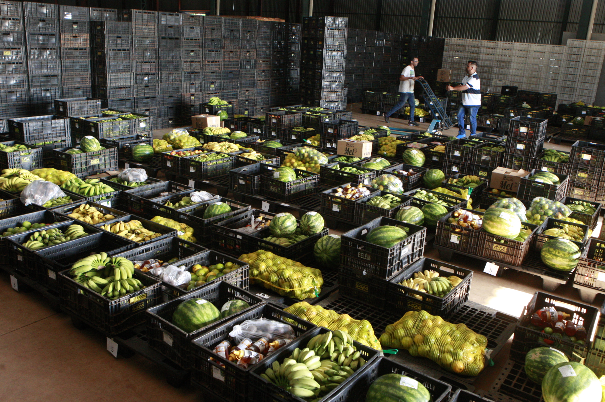 Agricultura Familiar 1