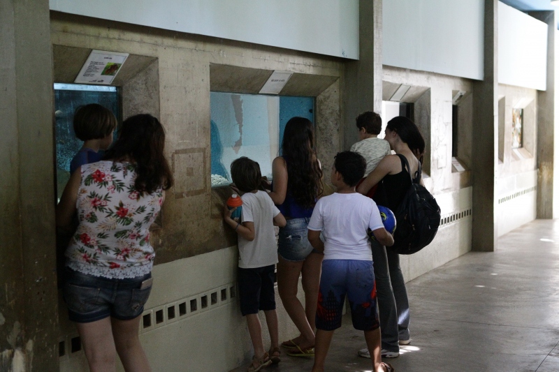 Visitas ao Aquário Municipal aumentam no período de férias escolares 1