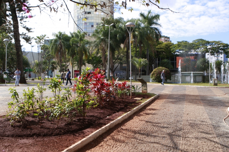 Prefeitura intensifica serviço de jardinagem nas praças de Uberlândia 3