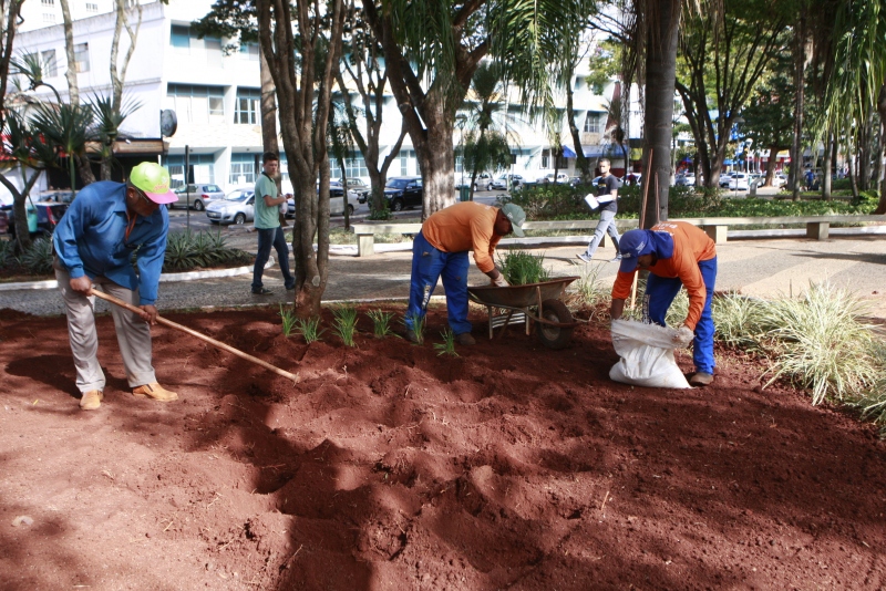 Prefeitura intensifica serviço de jardinagem nas praças de Uberlândia 1