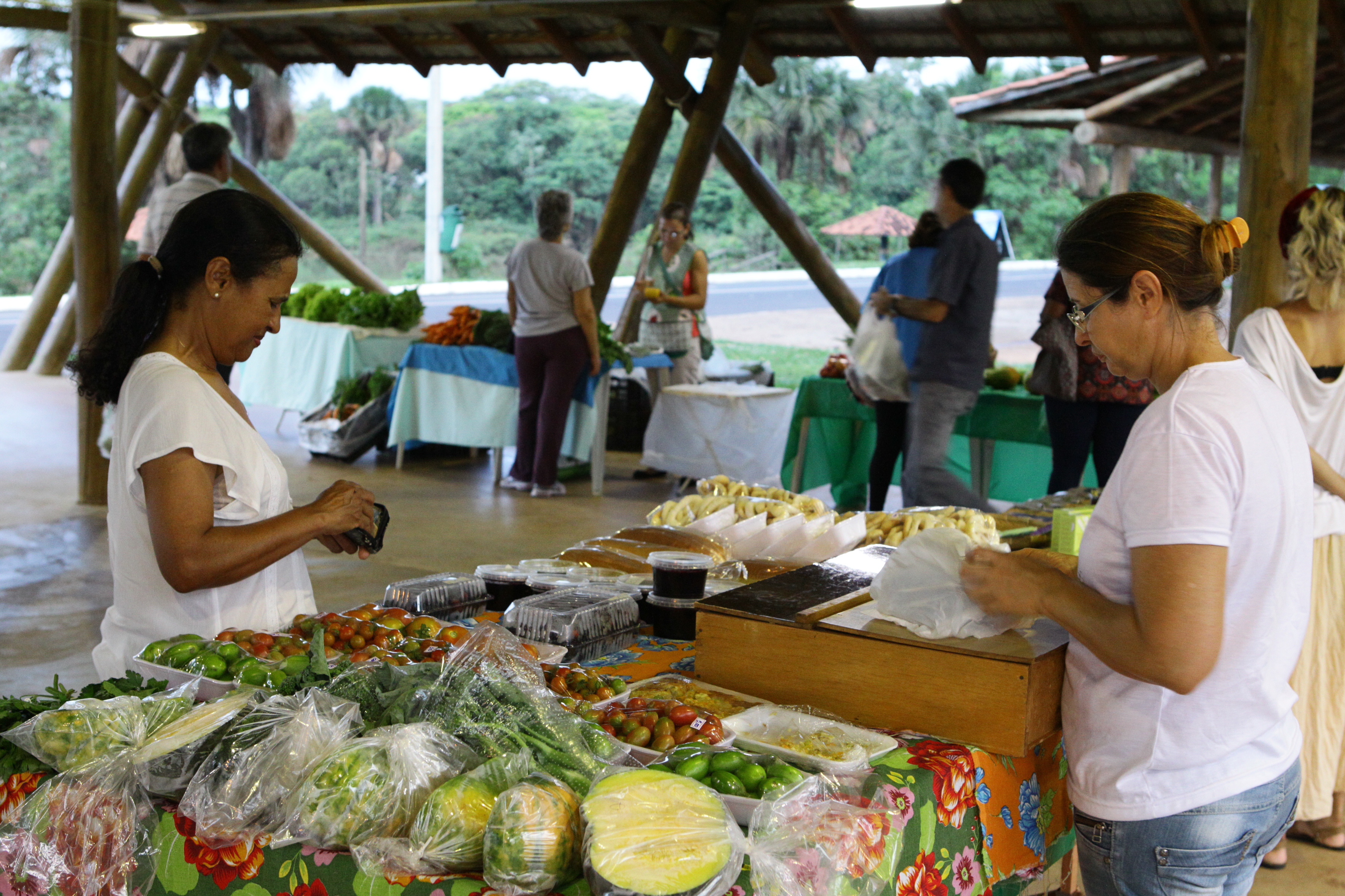 Feira de Alimentação Orgânica