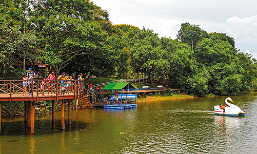 Parque do Sabiá 97