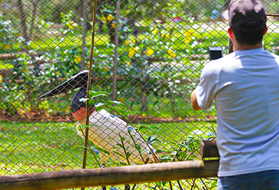 Parque do Sabiá 100