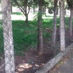 Futel conclui revitalização do Poliesportivo Tocantins 2
