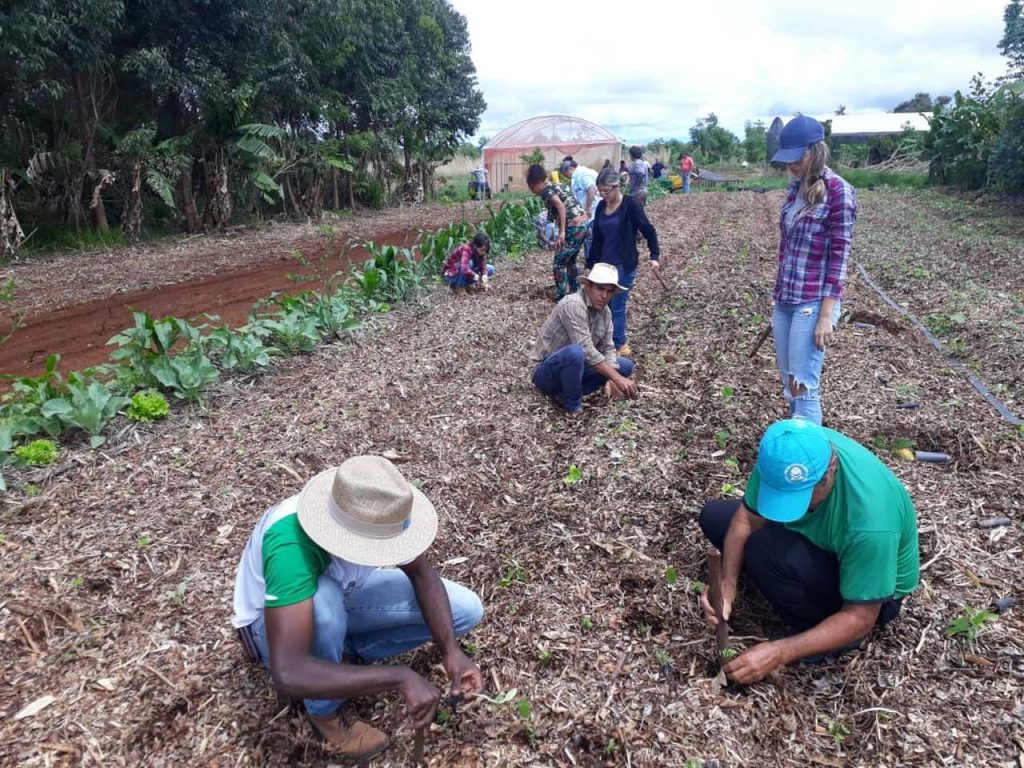 Produtores do Novo Agro participam de capacitação sobre agroecologia em Brasília 1