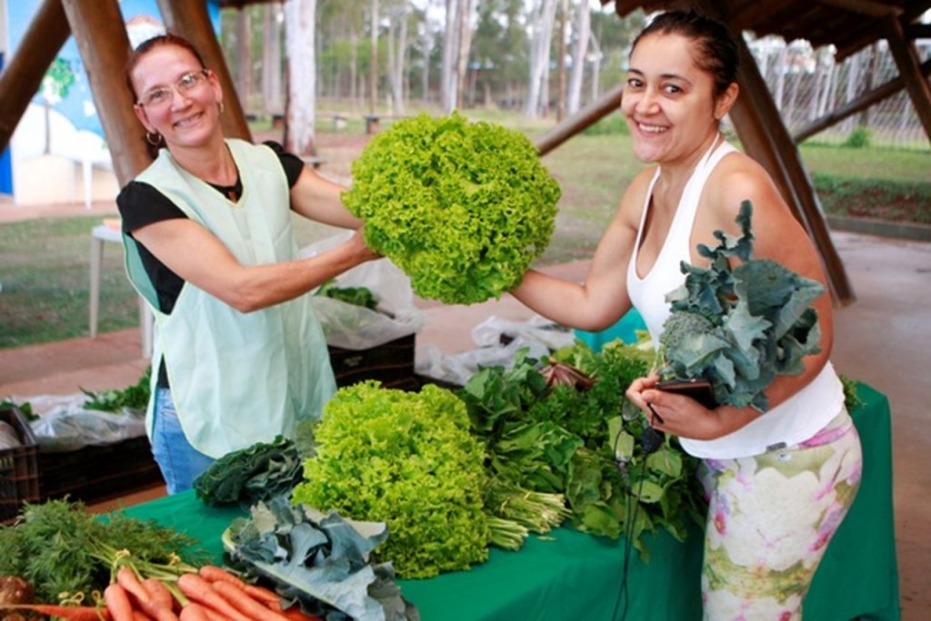 Programa Novo Agro comemora 2 anos com mais de 2 mil produtores beneficiados 1