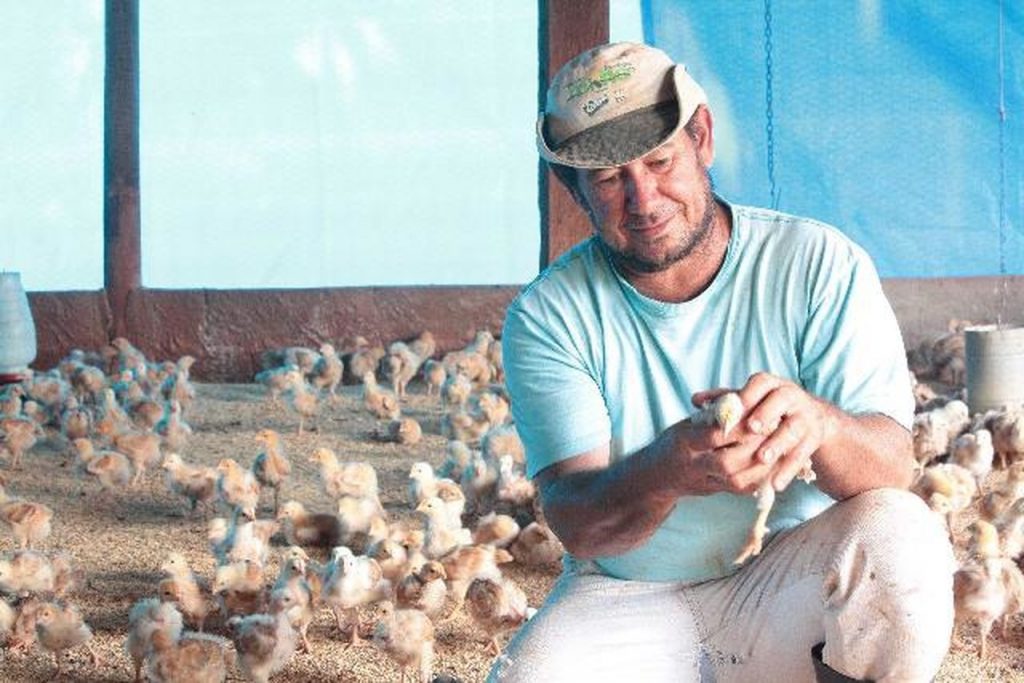 Programa Novo Agro comemora 2 anos com mais de 2 mil produtores beneficiados 4