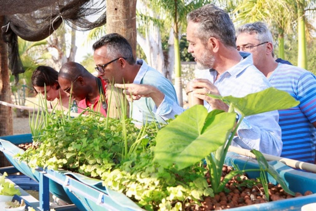 Ferub realiza inscrições para a 11ª edição do curso de Aquaponia 2