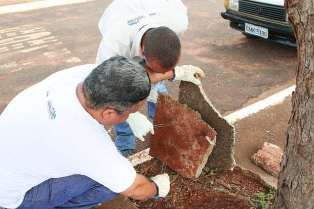 Prefeitura de Uberlândia reforça medidas de prevenção contra escorpiões 1