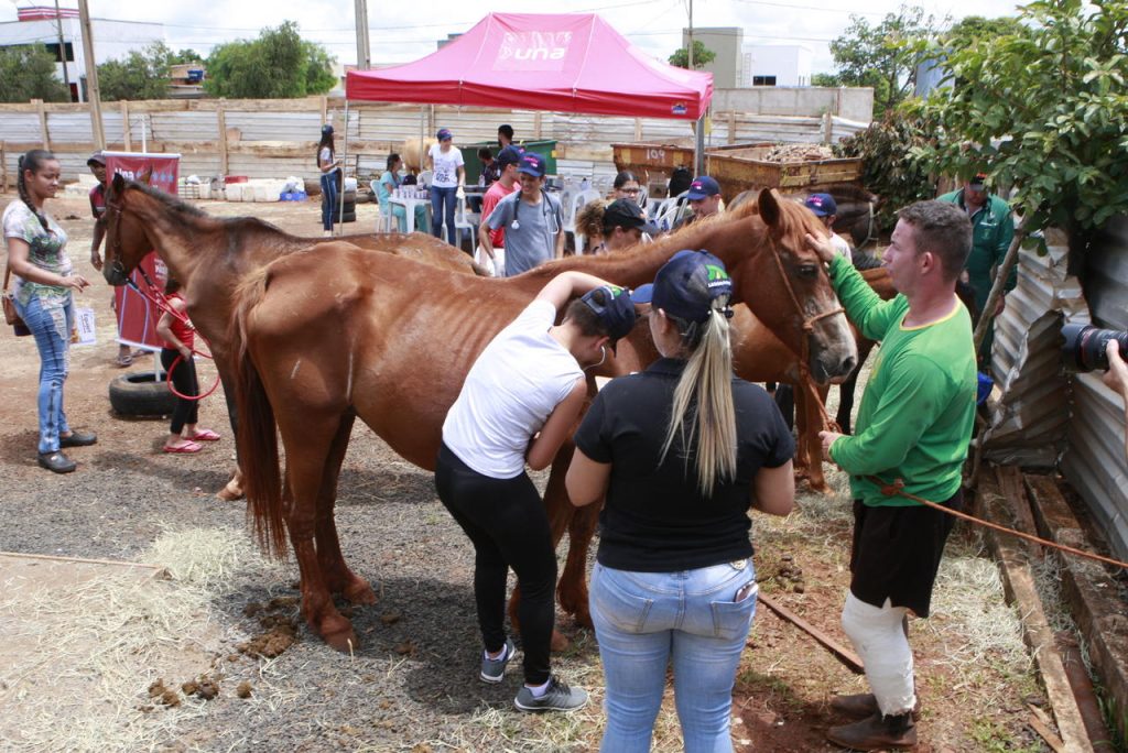 Projeto piloto Uberlândia Amiga dos Carroceiros atende dezenas de pessoas neste sábado (7) 2