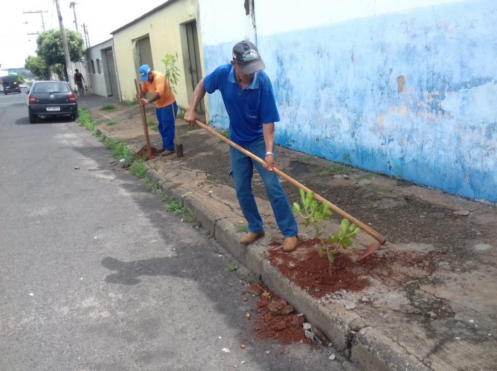 Programa Árvores do Amanhã inicia plantios no Jardim Brasília 1
