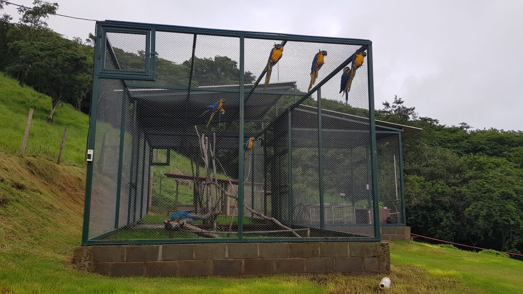 Uberlândia ganha uma nova unidade de conservação na Fazendinha Águas Vivas 1