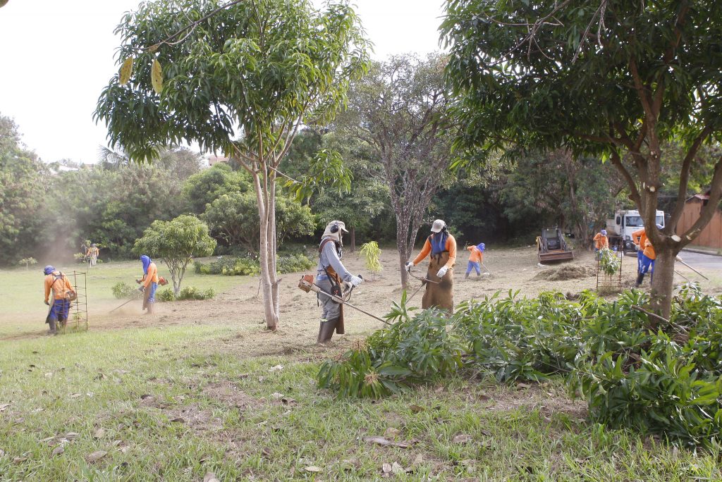 Prefeitura celebra Dia do Meio Ambiente com melhorias na cidade 1