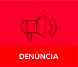 Apresentação 13