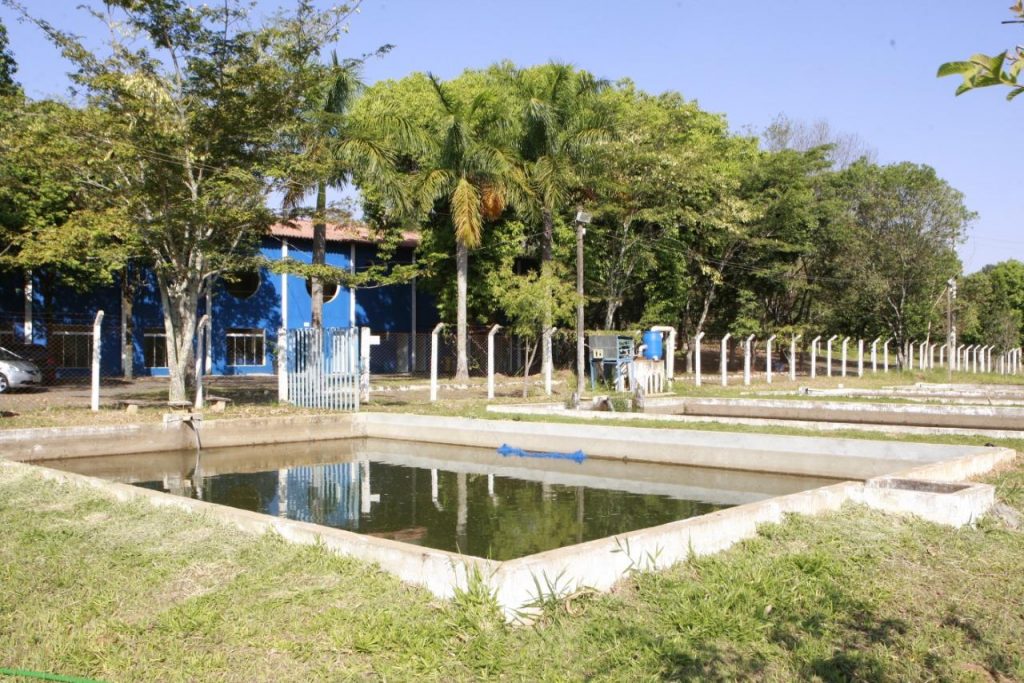 Agricultura (4)