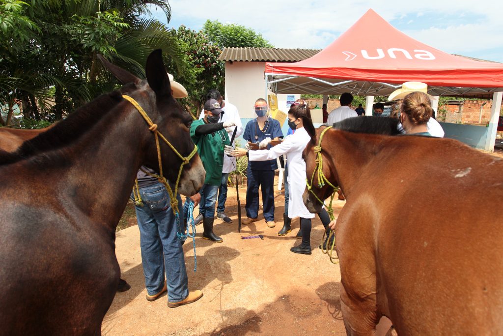 Uberlândia Amiga dos Carroceiros' chega ao bairro São Lucas 1