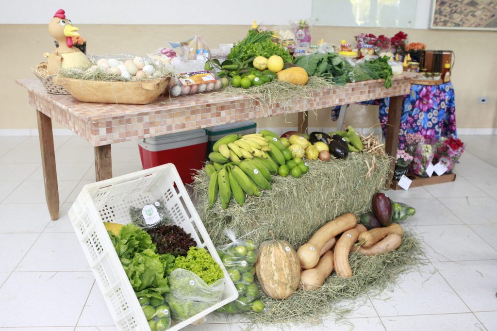 Prefeitura entrega a produtores selo do programa Novo Agro 2