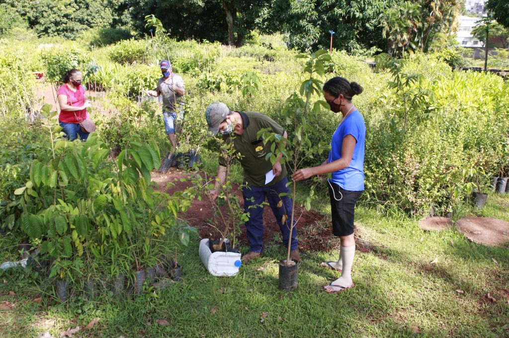 Horto Municipal estimula população a plantar árvores neste início de ano 1