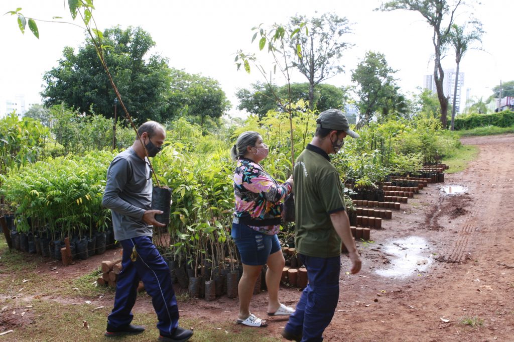Horto Municipal estimula população a plantar árvores neste início de ano 2