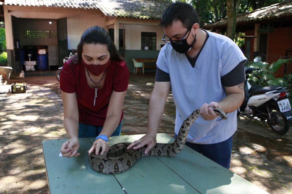 Zoológico de Uberlândia é pioneiro ao implementar práticas integrativas 1