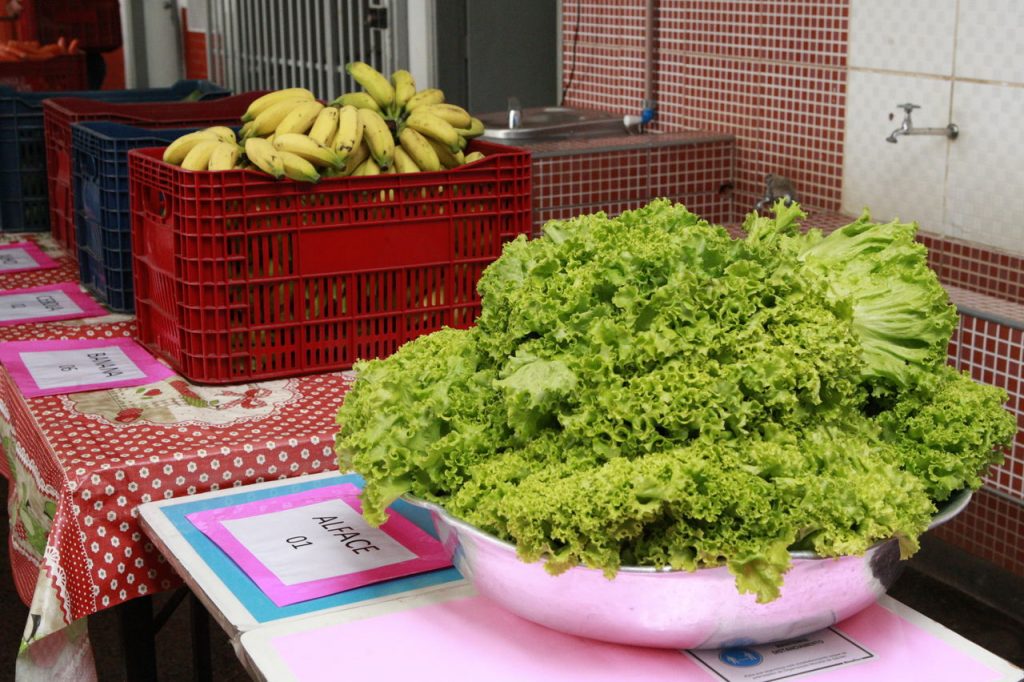Educação realiza montagem de mais de 51 mil kits alimentação 1