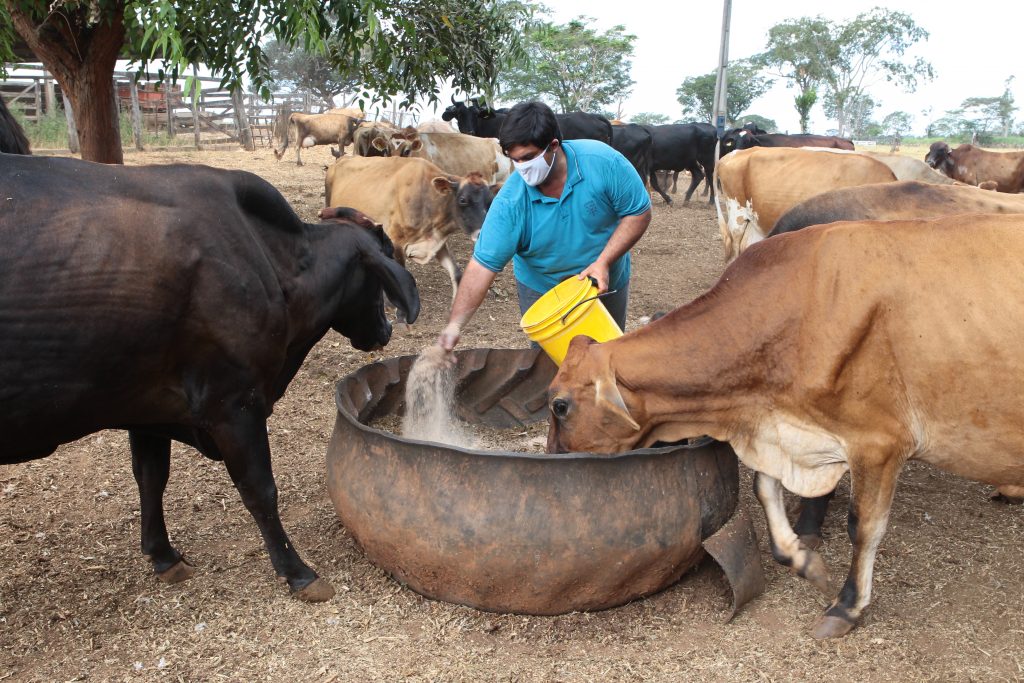 Prefeitura amplia apoio a pequenos produtores de leite 2