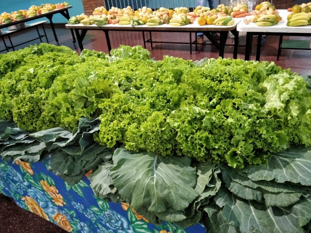 Prefeitura de Uberlândia promove Quarta Nutritiva em escolas municipais 1