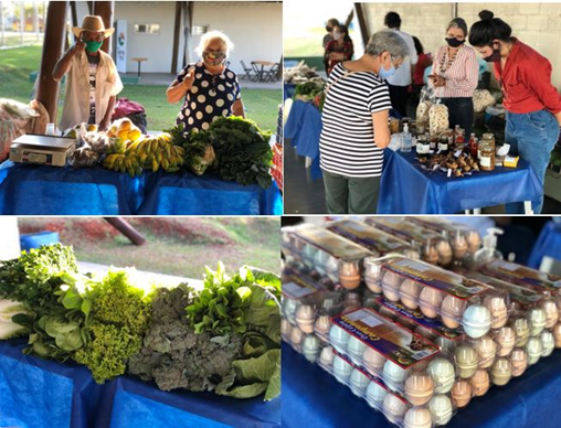 Feira Novo Agro atrai visitantes do Parque do Sabiá nesta terça-feira (6) 2