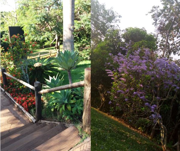Prefeitura realiza manutenção e melhorias em parques municipais 1