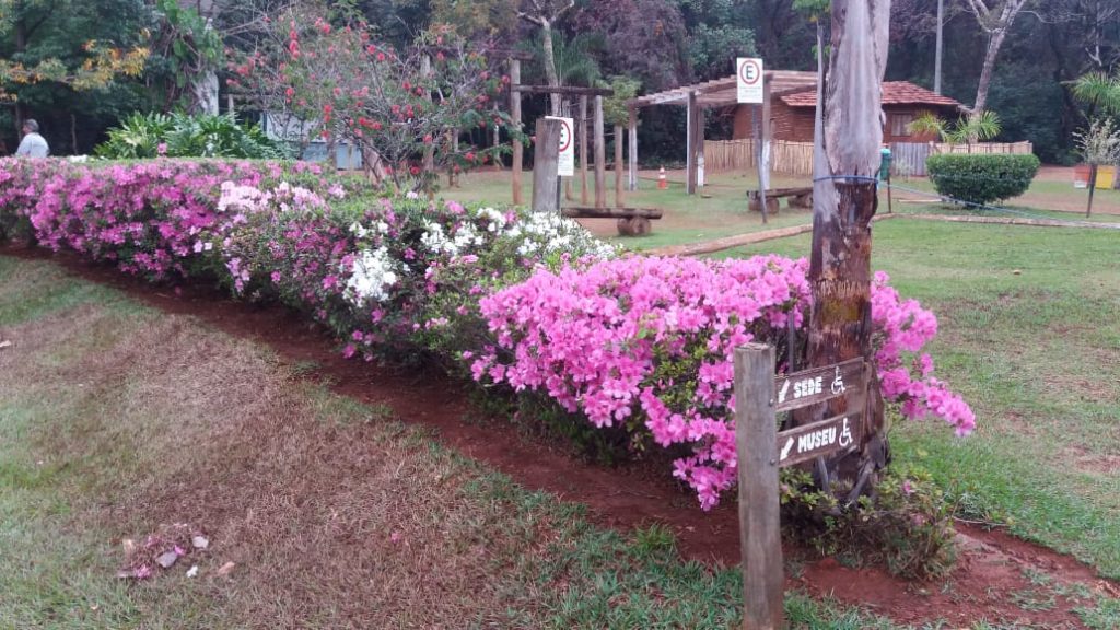 Prefeitura realiza manutenção e melhorias em parques municipais 2