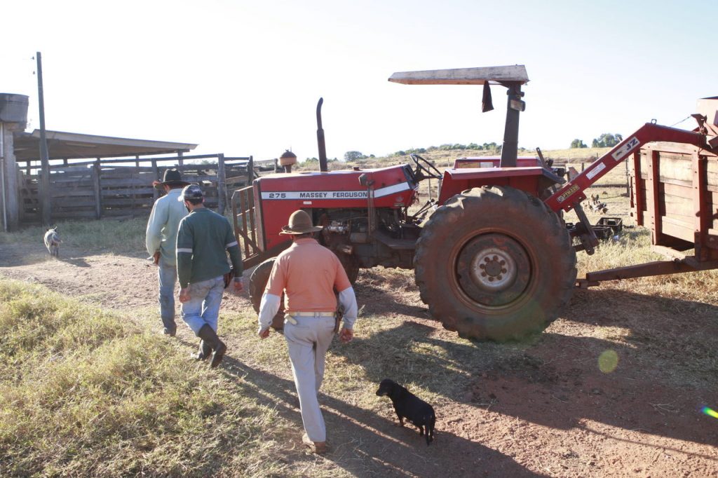 Programas da Prefeitura auxiliam produtores na sucessão rural 2