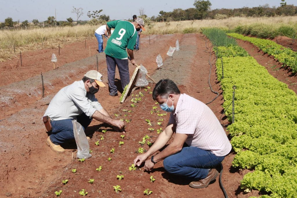 Pó de basalto é apresentado em Dia de Campo dentro da Semana do Produtor Rural 1