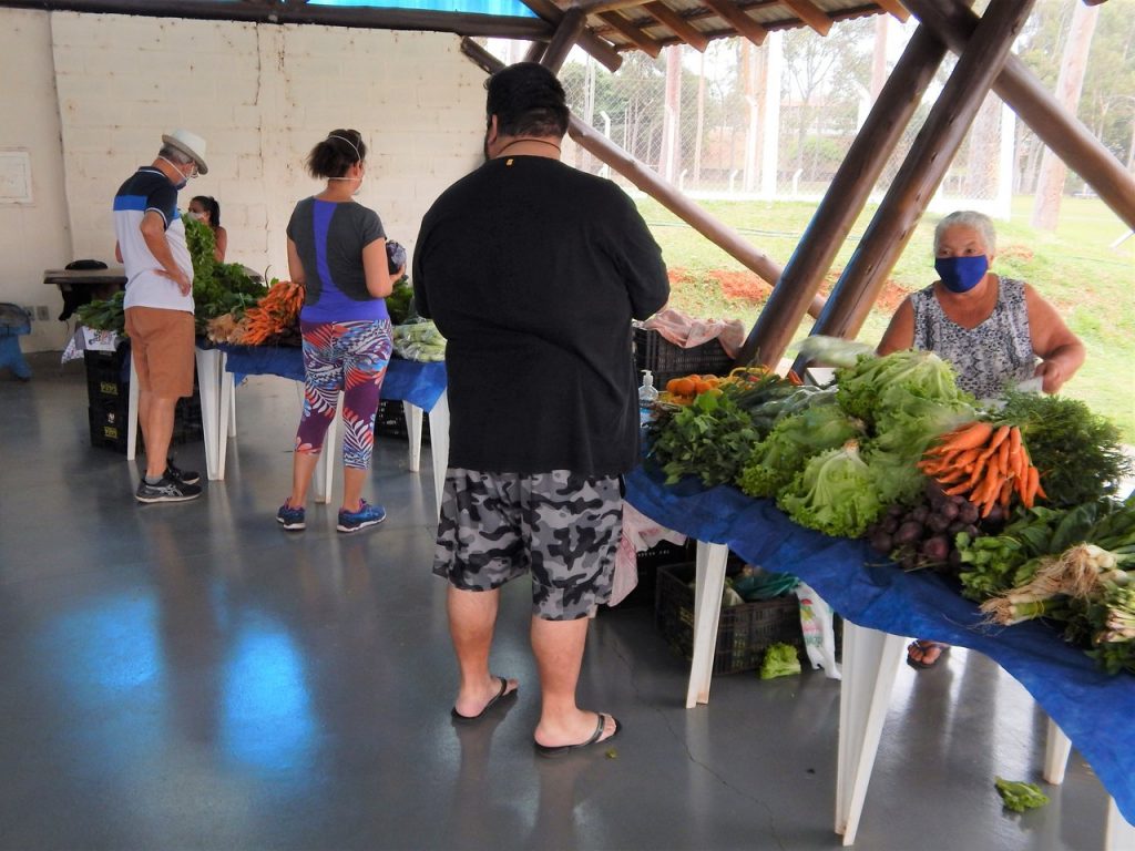 Feira Novo Agro estimula atividades de pequenos produtores 1