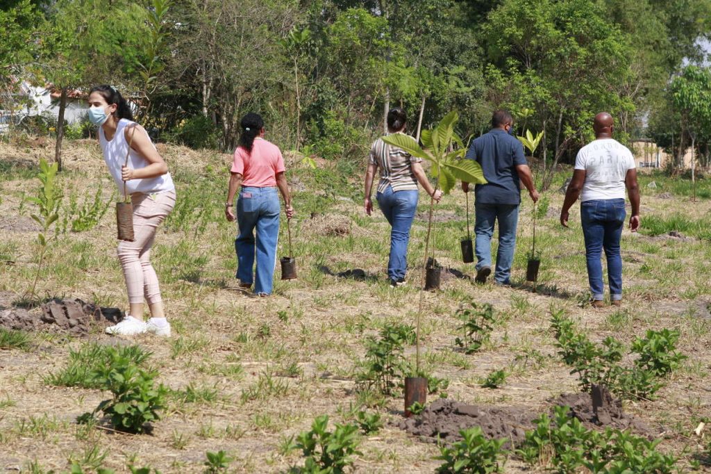 Prefeitura realiza plantio de mudas em três locais neste Dia Nacional da Árvore 1