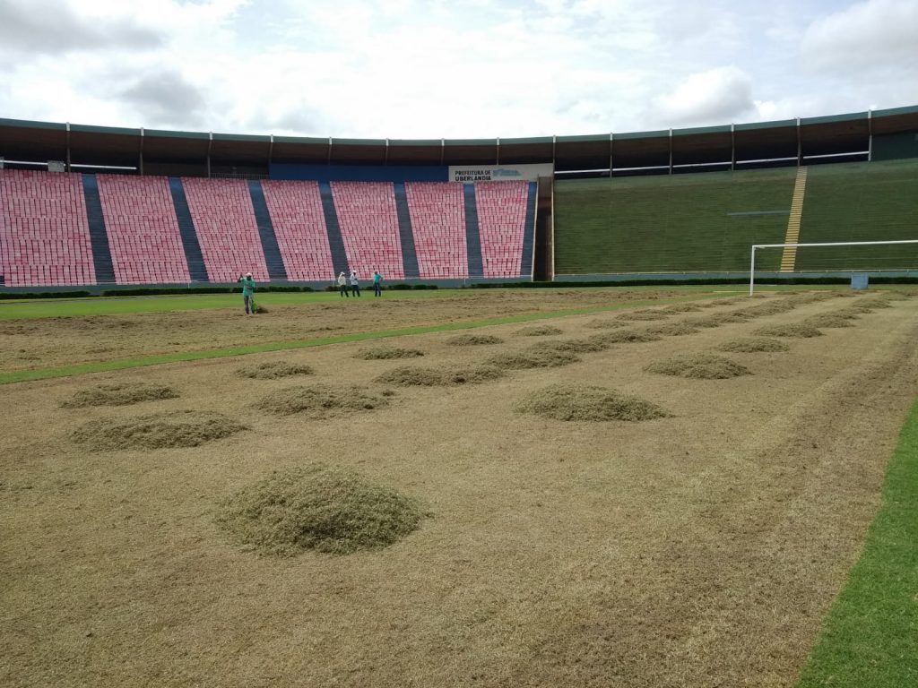 Gramado do Estádio Parque do Sabiá passa por recuperação total 1