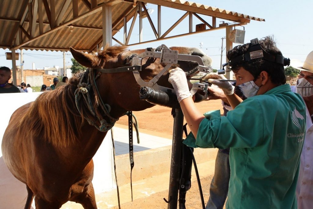 Sábado acontece a 9º edição Uberlândia Amiga dos Carroceiros no Shopping Park 1