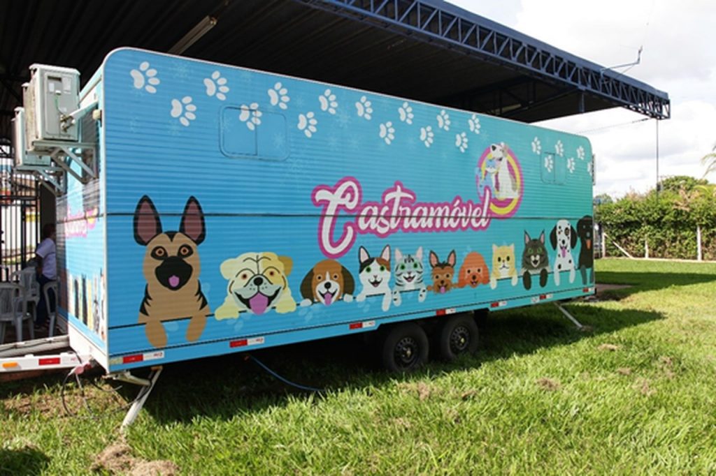 Prefeitura lança novo programa de castração para cães e gatos em Uberlândia 2