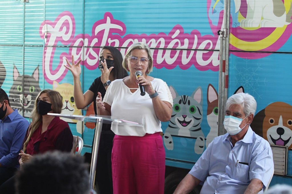 Prefeitura lança novo programa de castração para cães e gatos em Uberlândia 1