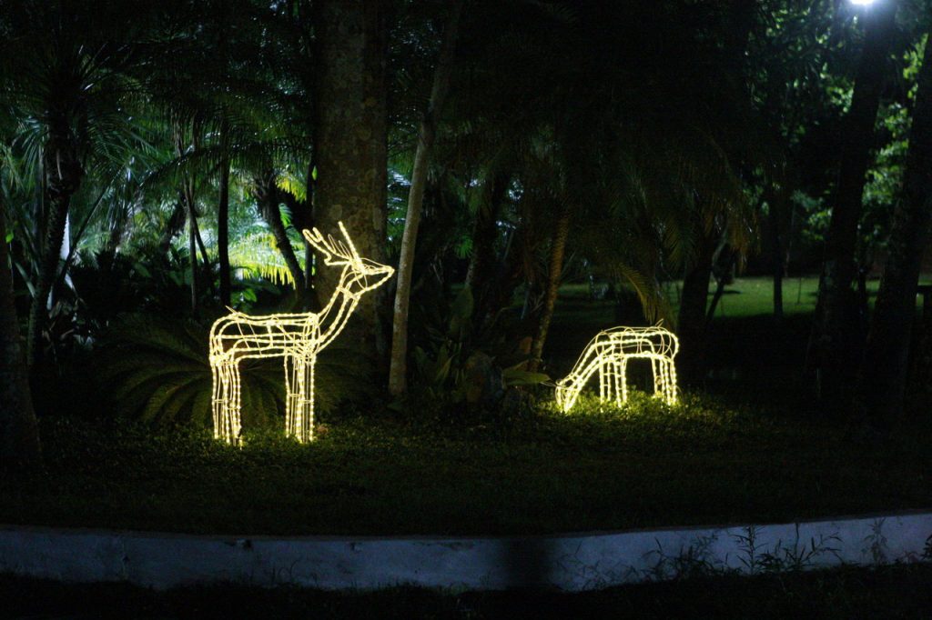 Prefeitura abre chamamento para decoração de Natal em espaços públicos 1
