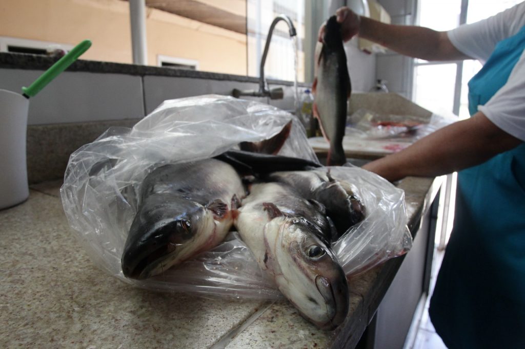 Prefeitura realiza doação de peixes e uvas para o terceiro setor 2