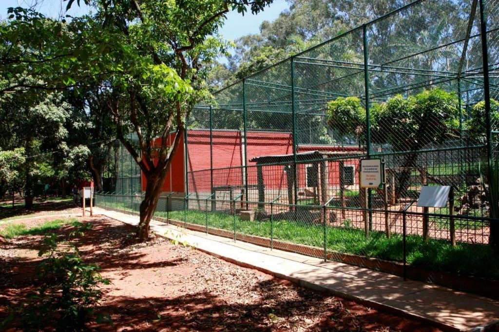 Zoológico Municipal registra mais de 10 mil visitantes desde sua reabertura 1