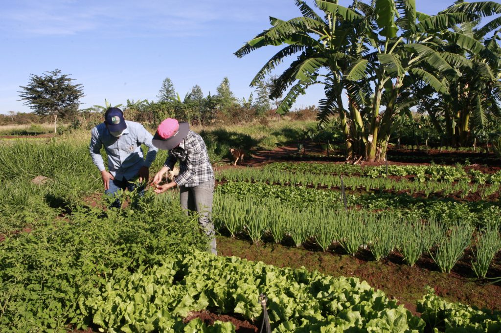 Prefeitura de Uberlândia apresenta balanço de ações do Novo Agro 1