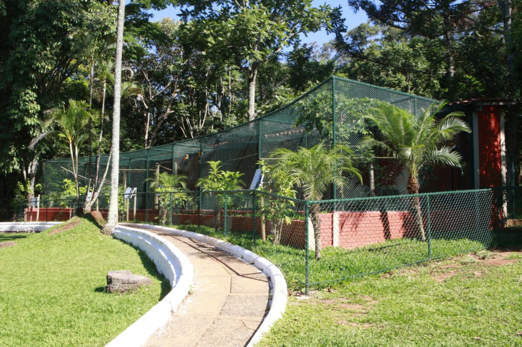 Reabertura com melhorias totaliza mais de 23 mil visitas no Zoológico 1
