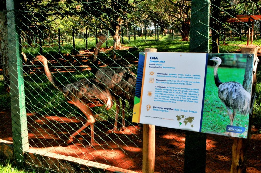 Reabertura com melhorias totaliza mais de 23 mil visitas no Zoológico 2