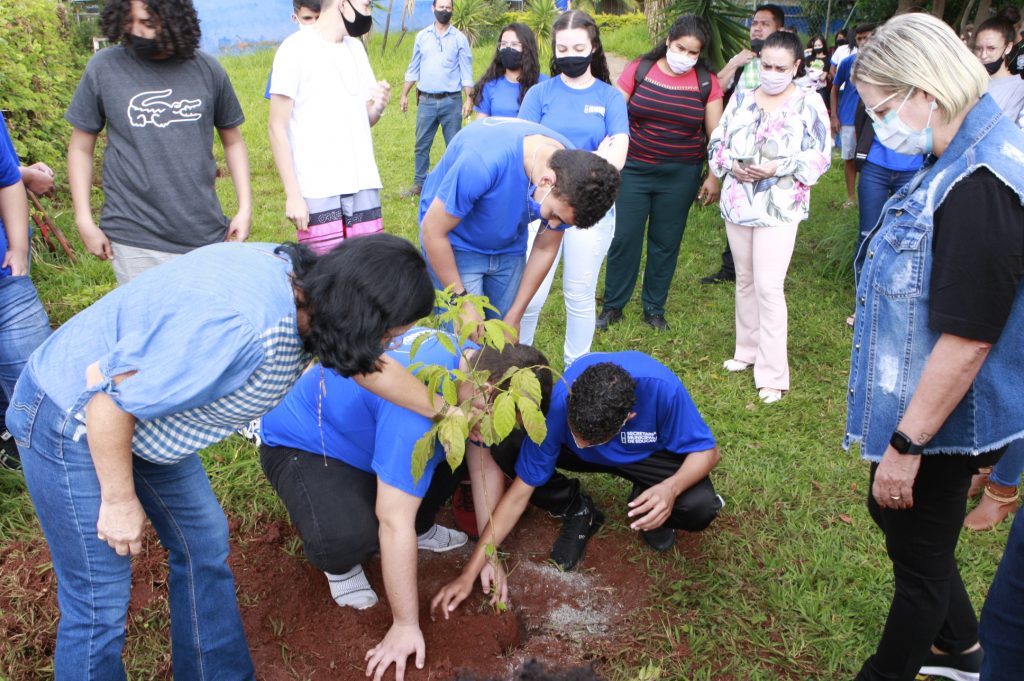 Procon e alunos da Escola Stella Saraiva plantam mudas de ipê amarelo 1