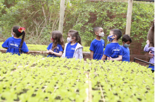 Alunos da rede municipal têm aula sobre educação alimentar em plantação de hortaliças 1