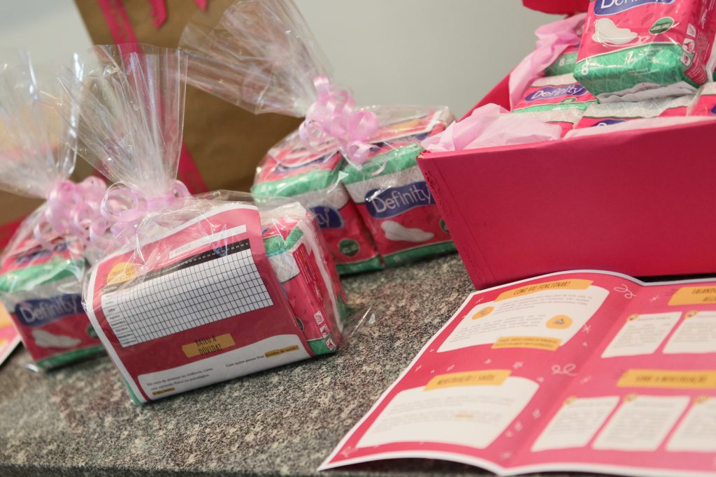 Programa de Proteção e Promoção da Saúde Menstrual (2)