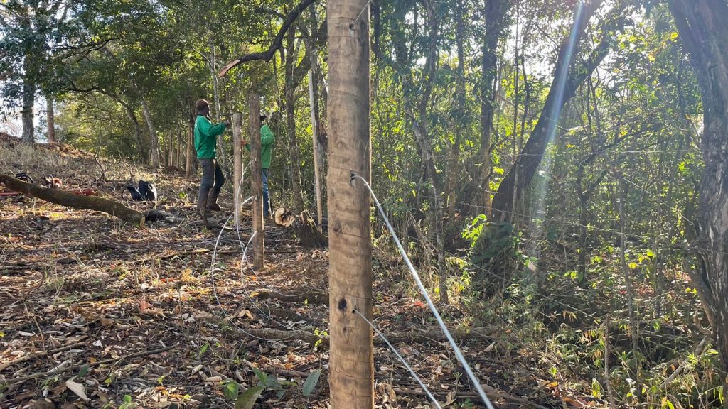 Programa Buriti do Dmae inicia cercamento em áreas preservação permanente 1