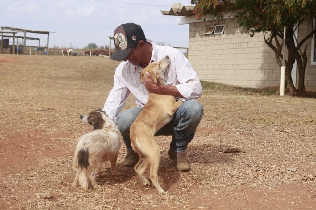 Etapa rural da Campanha de Vacinação Antirrábica começou nesta segunda-feira (1º) 1