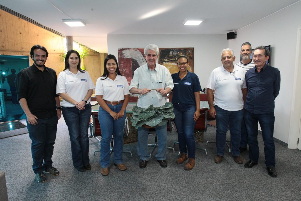 Experimentos com pó de basalto mostram aumento de produtividade de hortaliças 1